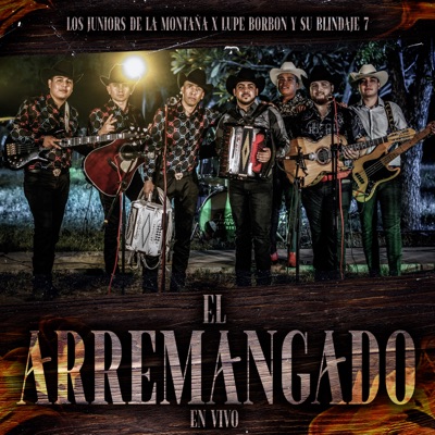 El Arremangado (En Vivo) - Single