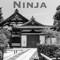 Ninja (feat. NerdOut) - Fabvl lyrics