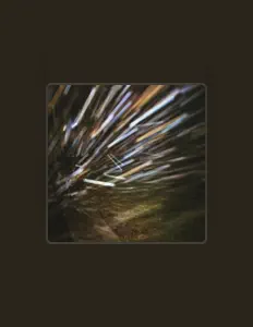 dög pärks: песни, клипы, биография, даты выступлений и многое другое.