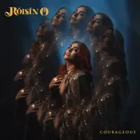 Stolen — Roisin O
