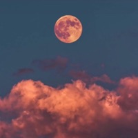 Into the Horizon - Echoes_