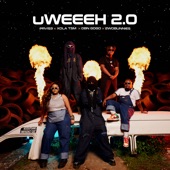 Uweeeh 2.0 (feat. 2woBunnies) artwork