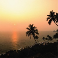 Sunshine - Single - Another One