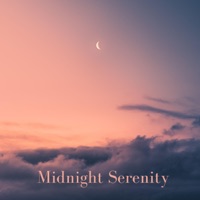 Midnight Serenity - Single - Soulgarden