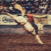 White Bronco - Single - WAVMAGE