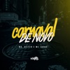 Carnaval de Novo (feat. DJ DAVI DA ZN) - Single