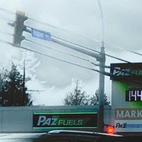 meet Me and the Rat for his Birthday in the Swamp on Wednesday - EP - Paz touchburn