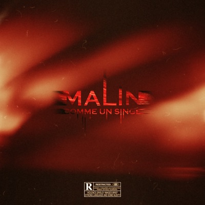 MALIN COMME UN SINGE - Single