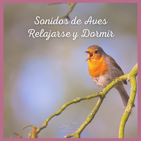 Sonidos de Aves: Relajarse y Dormir