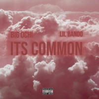 Its Common (freestyle) (feat. Big Ochi) - Single - Lil bando