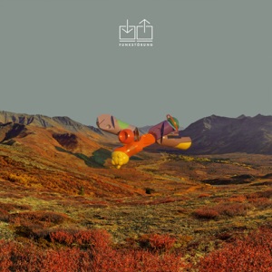Fall Into You (feat. Audego)
