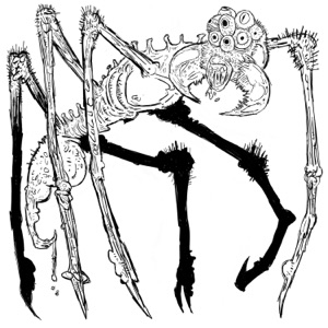 Anorexic Arachnid - EP