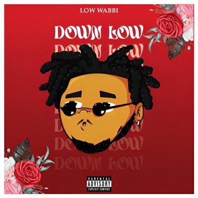 Down Low - Single