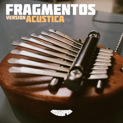 Fragmentos (Versión Acústica) [Acústico] - Single