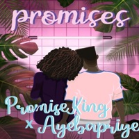 Promises (feat. Ayebapriye) - Single - PromiseKing