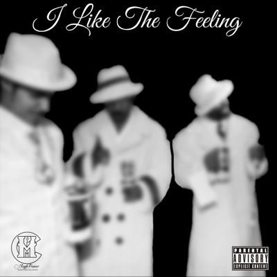 I Like the Feeling (feat. 2CEE & TD) - Single