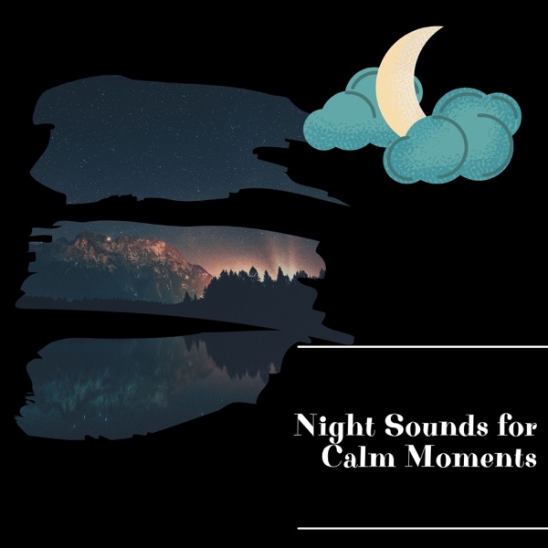 Night Sounds for Calm Moments
