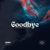 Goodbye - Single