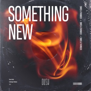 Something New - Single