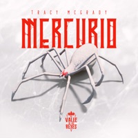 Mercurio - Tracy McGrady