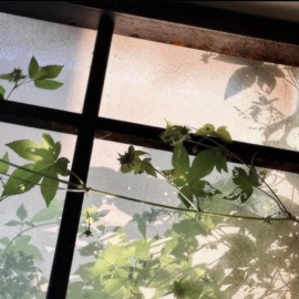 tear it off (feat. Max Ruben) vmdarius