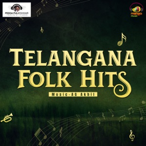 Telangana Folk Hits - Single