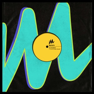 It's a Funky House! - Single