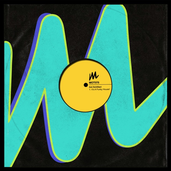 It's a Funky House! - Single