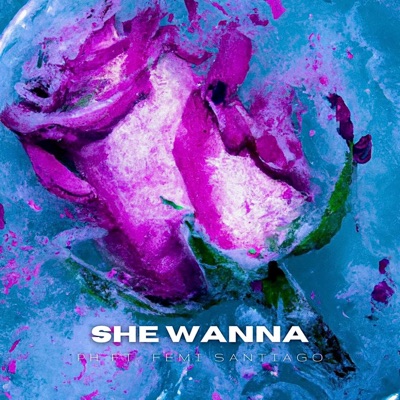 She Wanna - Single