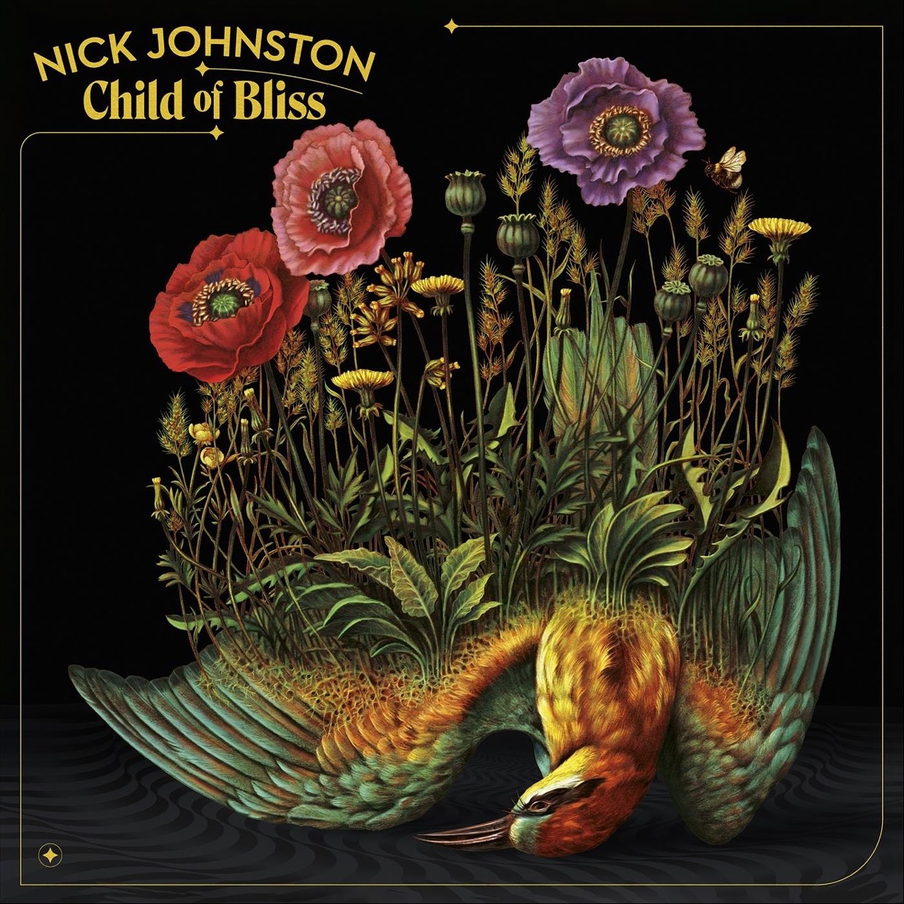 Nick Johnston – Child of Bliss (2024) [iTunes Match M4A]