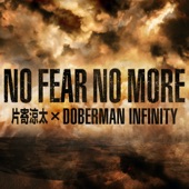 NO FEAR NO MORE artwork