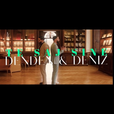 Te Saj Sine (feat. Deniz) - Single