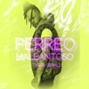 Perreo Maleantoso - Single