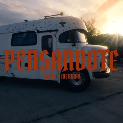 PENSANDOTE (feat. Medinas) - Single