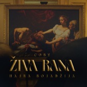 Živa rana artwork