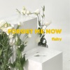 Forget Me Now (Solo Version) - Single