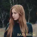 Bad bird