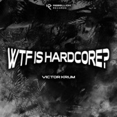 WTF Is Hardcore? artwork