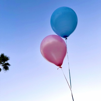 Dreams & Hopes - Single