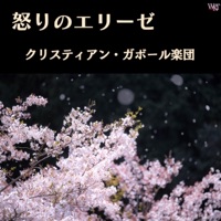 クリスティアン・ガボール楽団