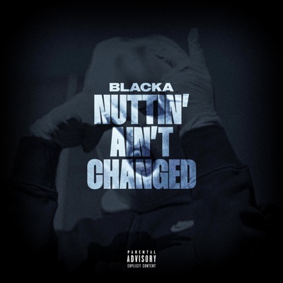 Nuttin' Ain't Changed (feat. #ZT & Blacka) [Radio Edit] - Single