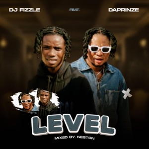 Daprinze level (feat. Dj fizzle)