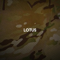 This Time Around - Single - lotus