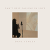 Can't Help Falling in Love - Dave Fenley