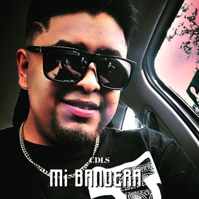 Mi Bandera - Single