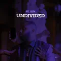 Undivided