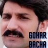 Gohar Bacha