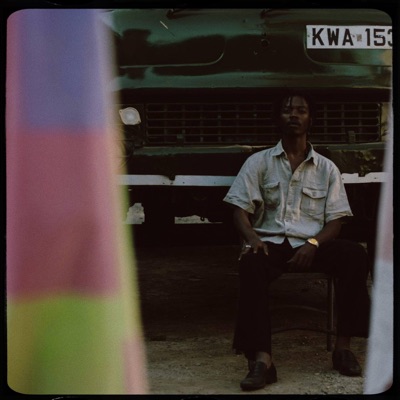 Agent Mgumbe, Vol. 2