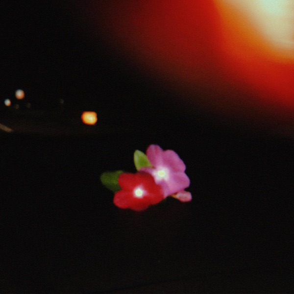 Blossom