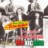 Don Quijote Y La Revolución Mexicana, Vol. 2 (Humor) - Los Tepichines